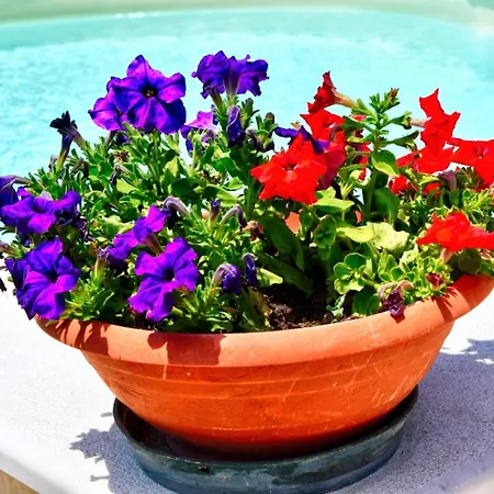 Simo Alojamento de Acomodação e Pequeno-almoço Lercara Friddi